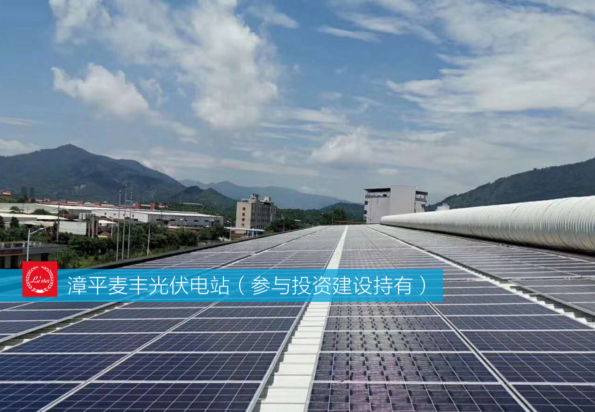 萊爾斯特參與投資建設持有的漳平麥豐光伏電站圖3